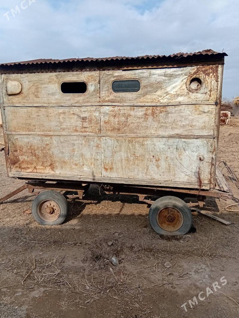 MTZ T-28 2003 - 10 000 TMT - Гороглы (Тагта) - img 1