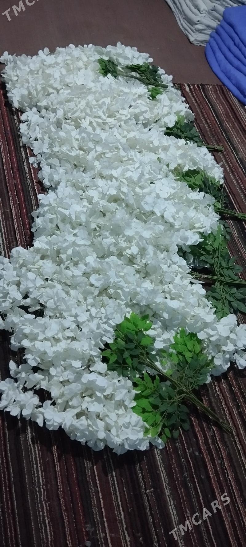 Toy bezegler - Tejen - img 1