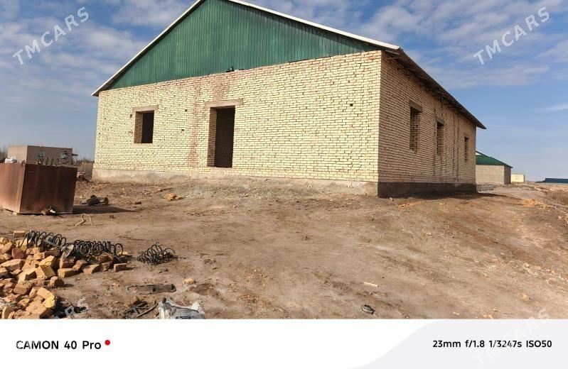 жай jay - Кёнеургенч - img 1