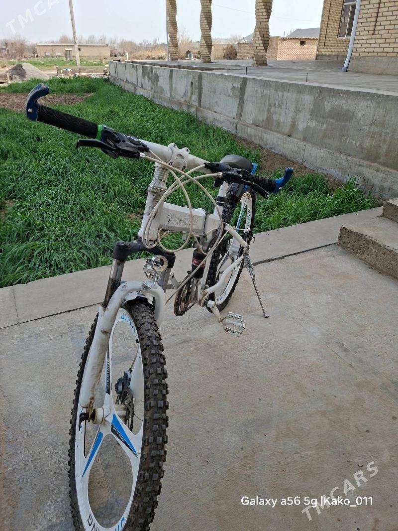 tigir - Мары - img 1