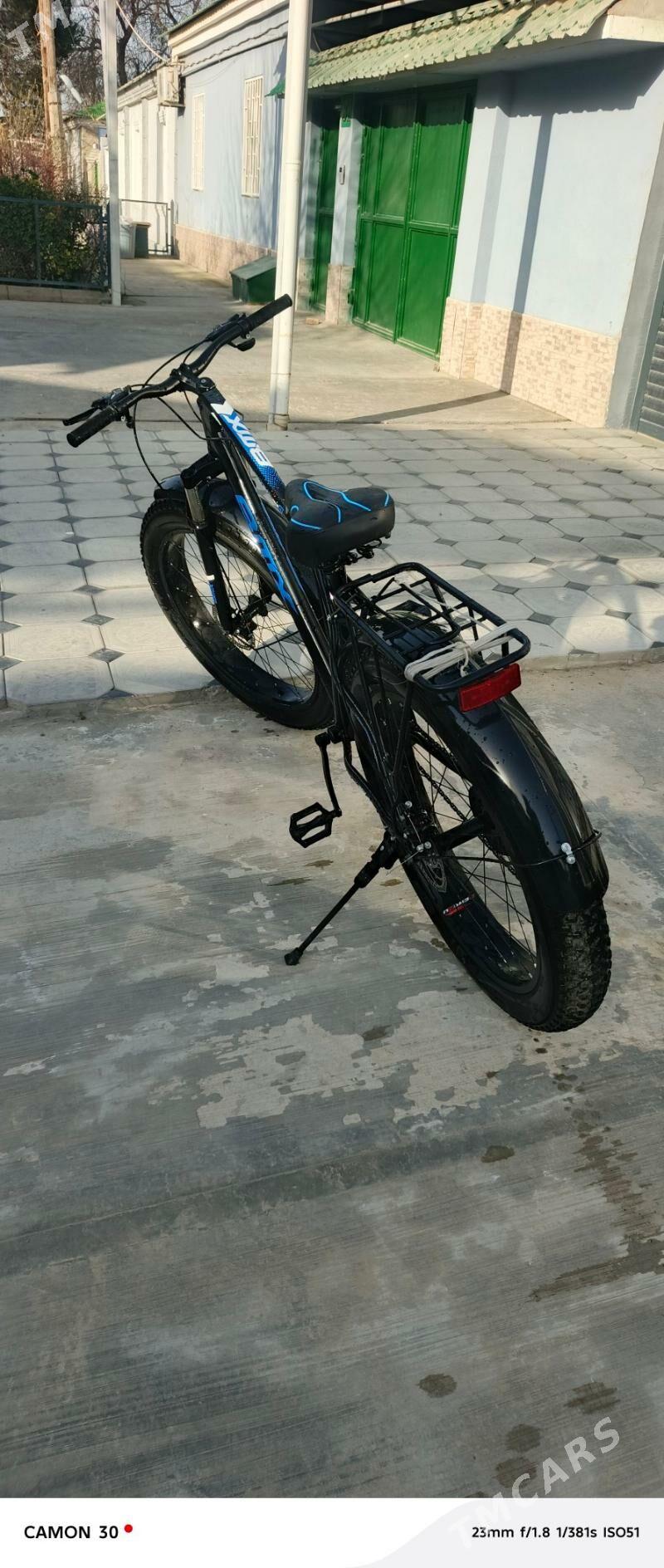 Tigir sport - 30 mkr - img 1