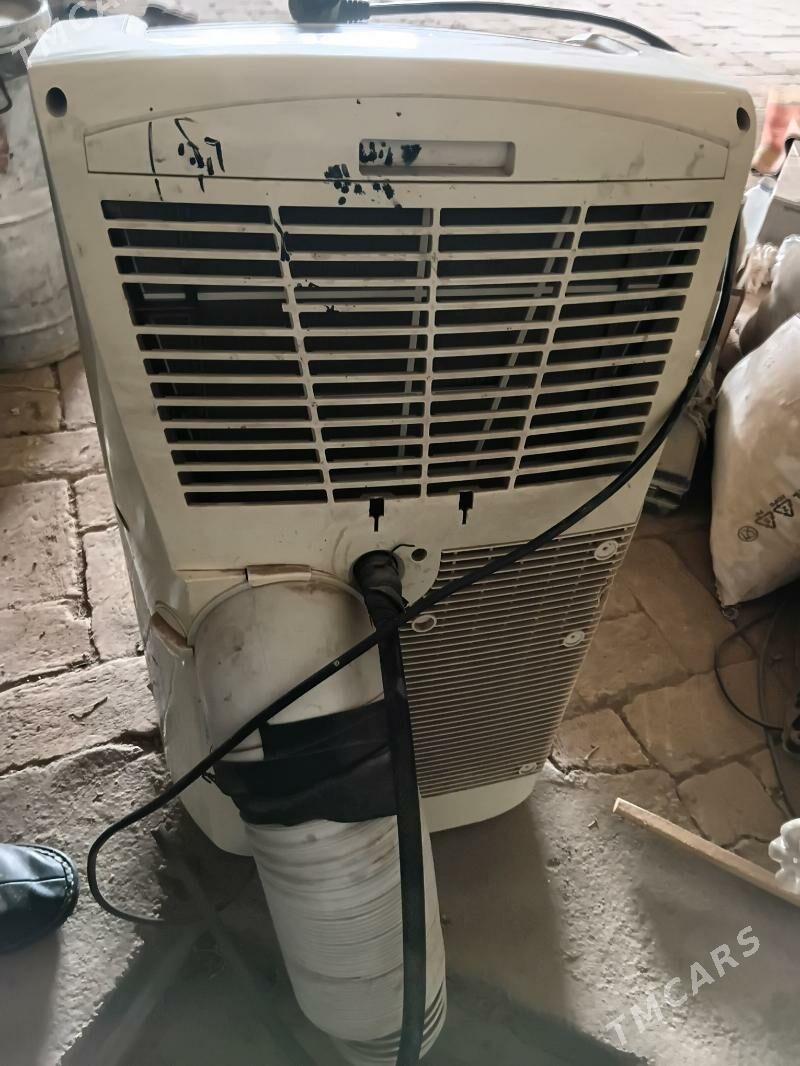 Gocme kansaner - Halaç - img 1