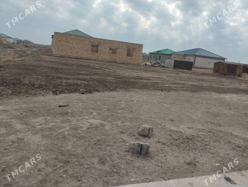 gulustan - Дашогуз - img 1