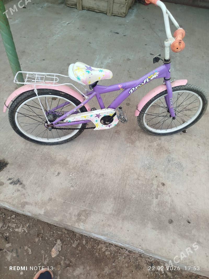 tigir (welsopet) - Дашогуз - img 1