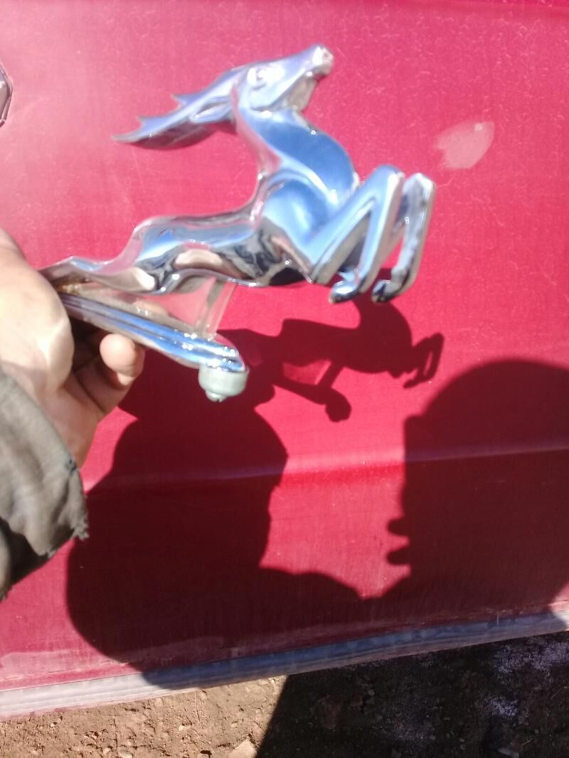 keýik 4 000 TMT - Дашогуз - img 1