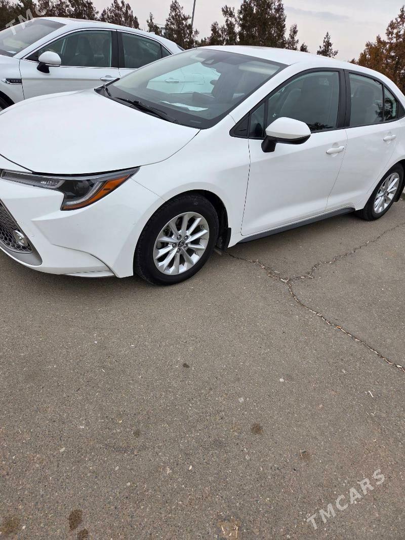Toyota Corolla 2022 - 250 000 TMT - Ашхабад - img 1