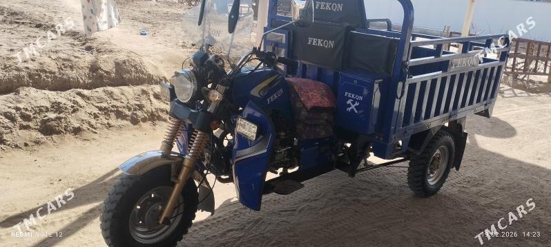 Fekon FK200-14G 2024 - 25 000 TMT - Сакарчага - img 1