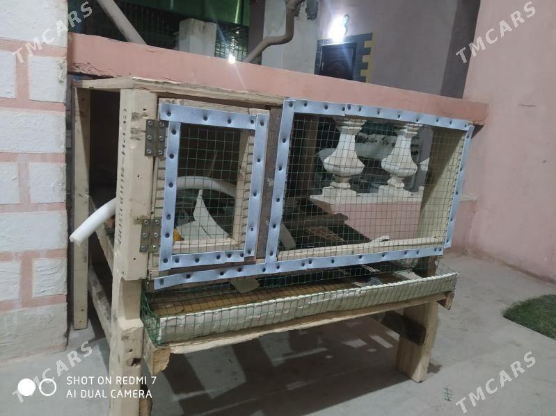 Bedene yatak - Бузмеин - img 1