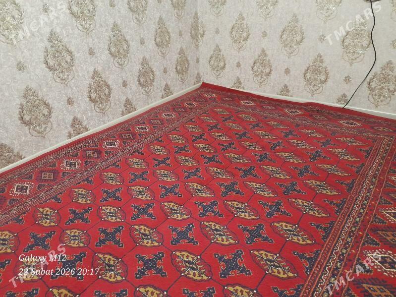 Haly - Büzmeýin GRES - img 1