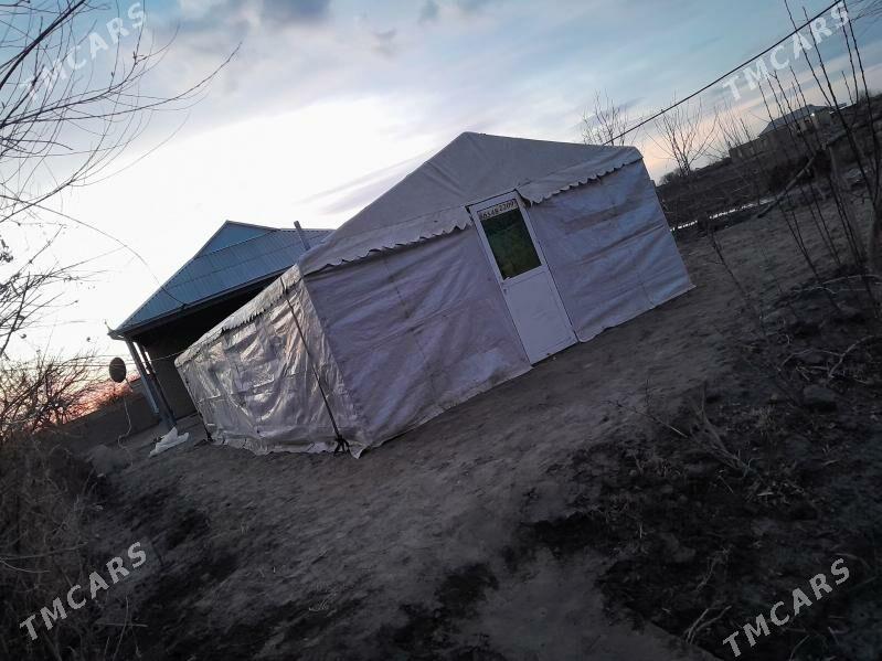 Palata - Garagum etraby - img 1