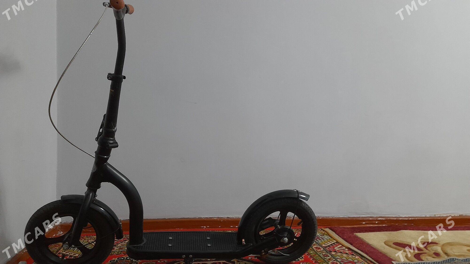 scuter - 30 мкр - img 1