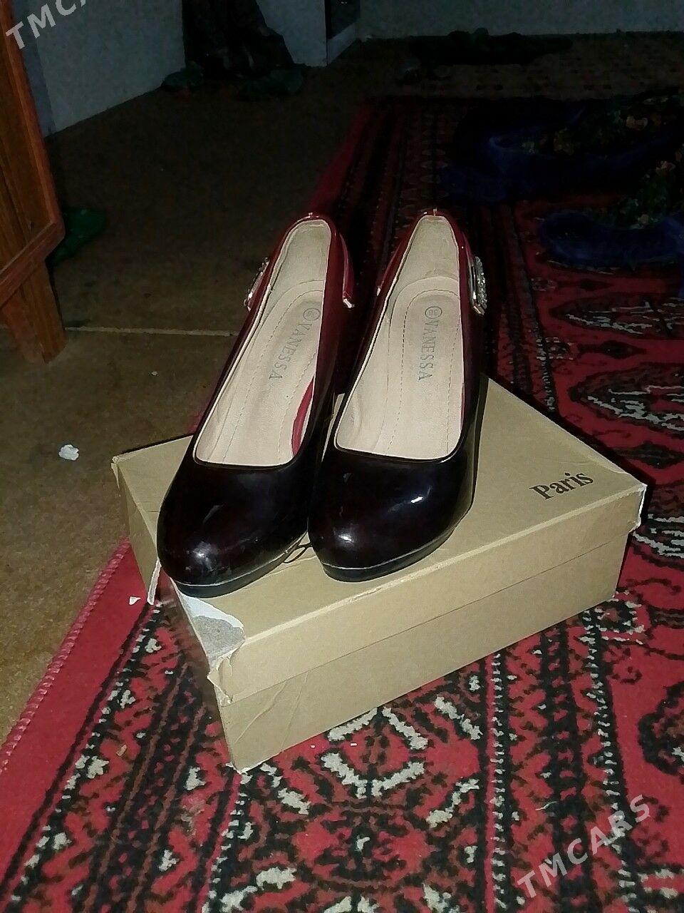 Aýakgaplar - Murgap - img 1