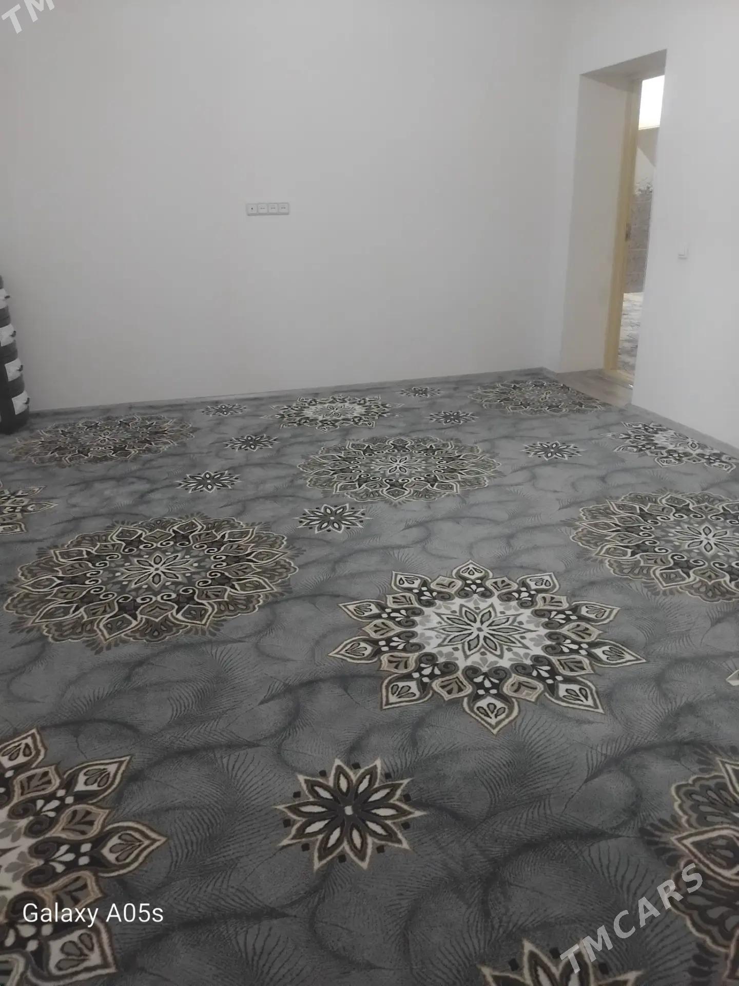 haly - Daşoguz - img 1