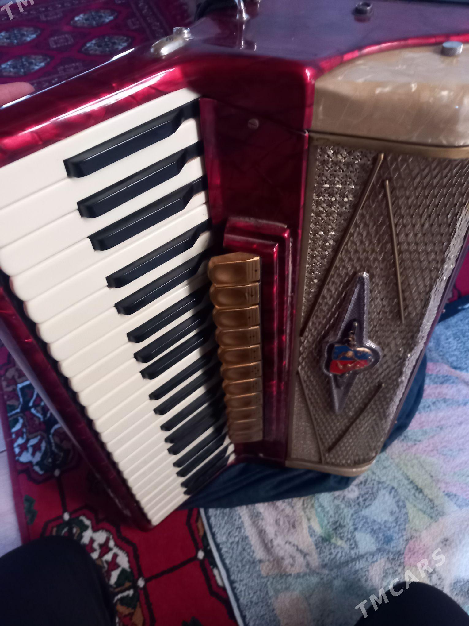 Akkordeon - Гороглы (Тагта) - img 1