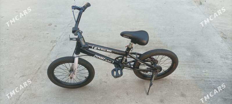 tigir 16 - Parahat 4 - img 1