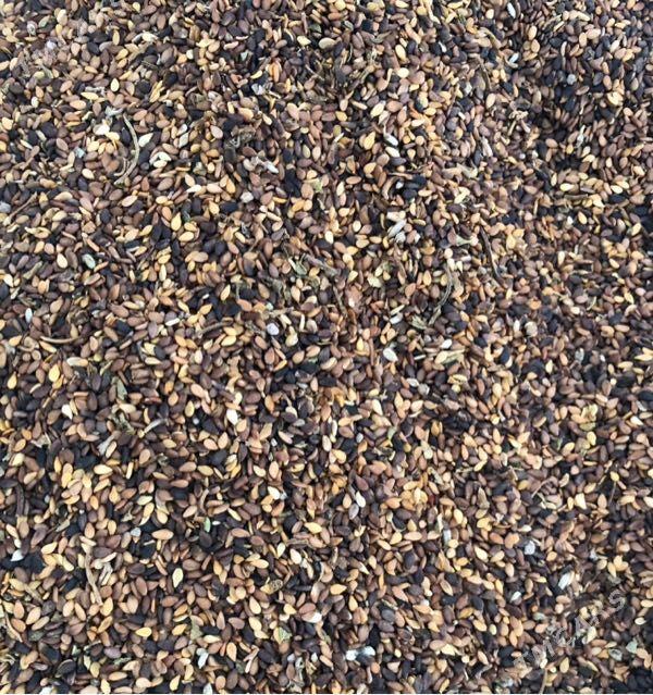 Künji - Сакар - img 1