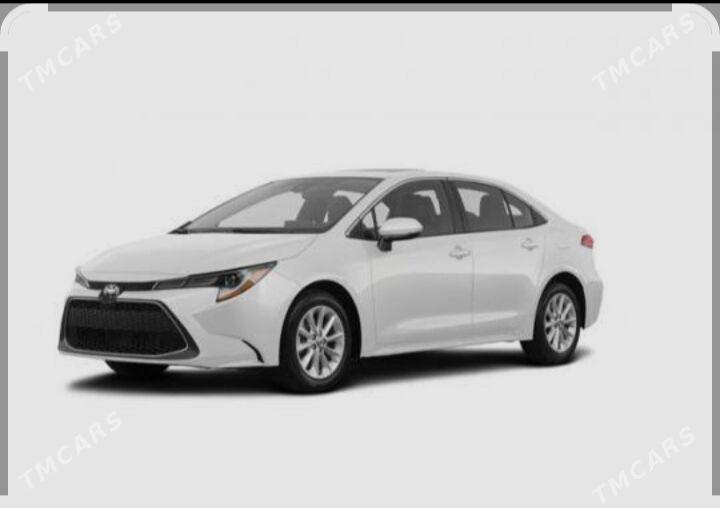 suruji - Ашхабад - img 1