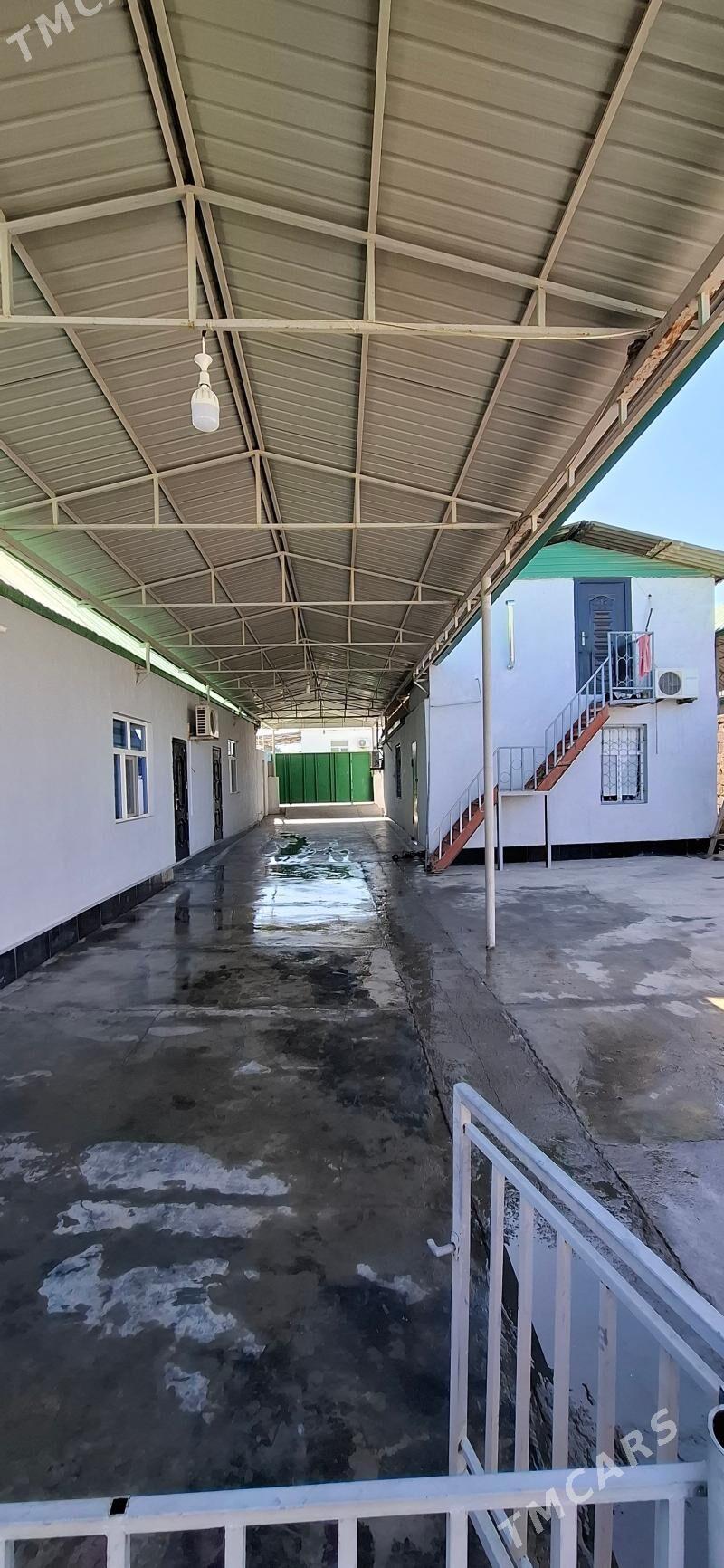 Änew plan jay - Änew - img 1