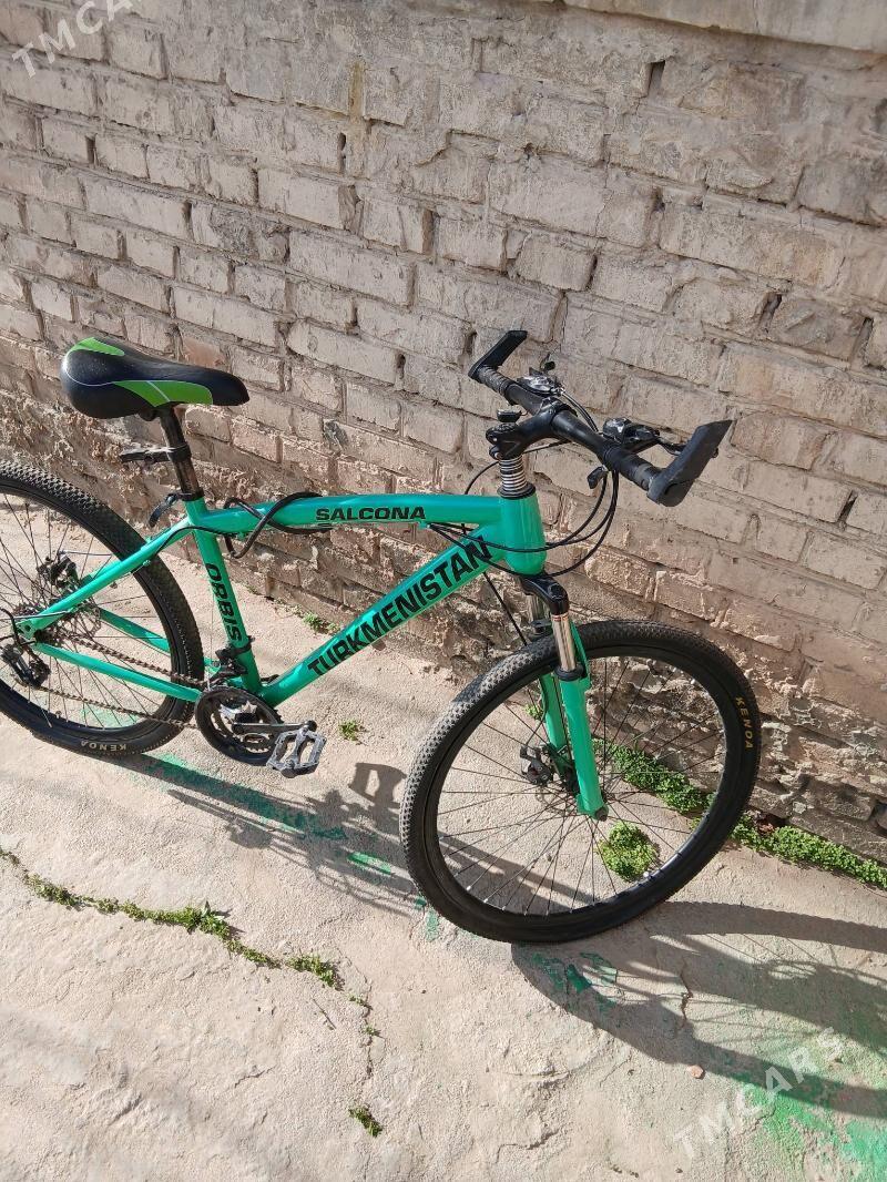 tigir - Büzmeýin - img 1