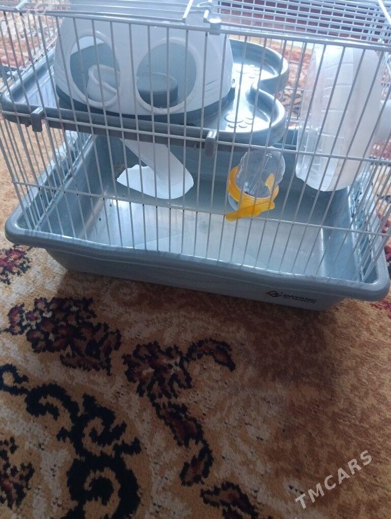 hamyak ketak - Туркменабат - img 1