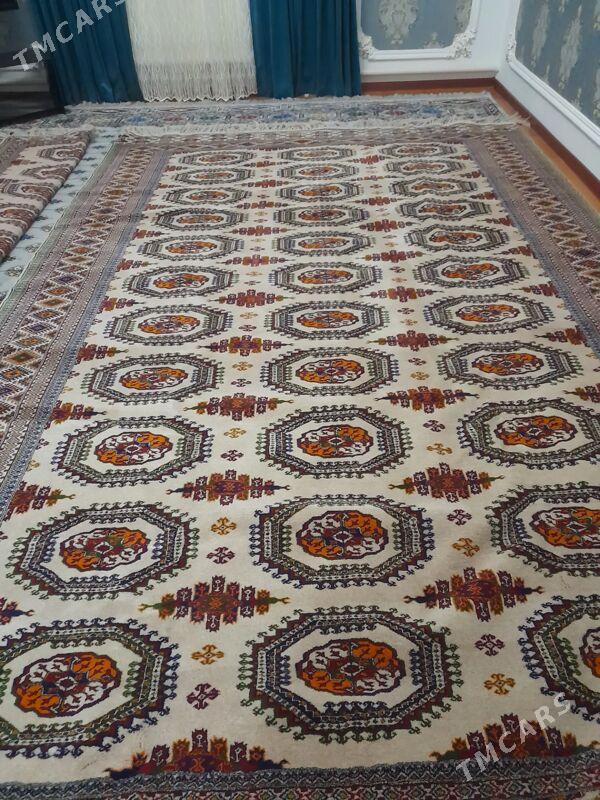 haly - Aşgabat - img 1