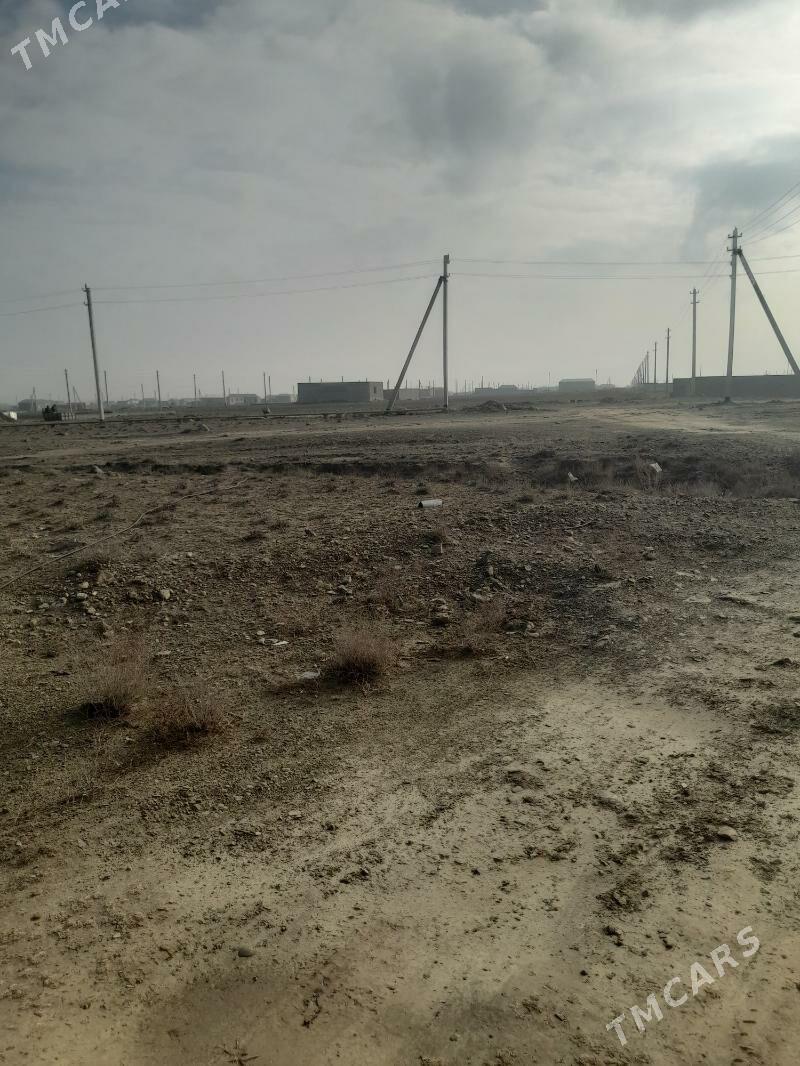 bos yer - Бахарден - img 1