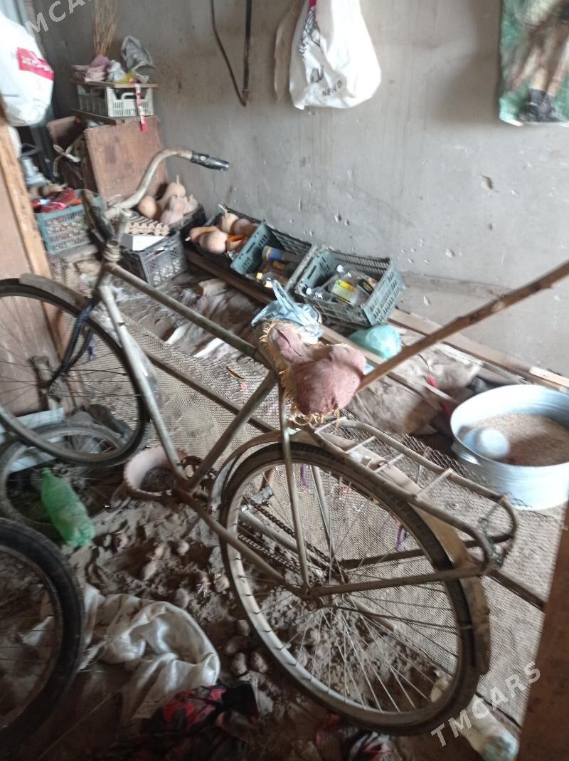 wellik - Гурбансолтан Едже - img 1