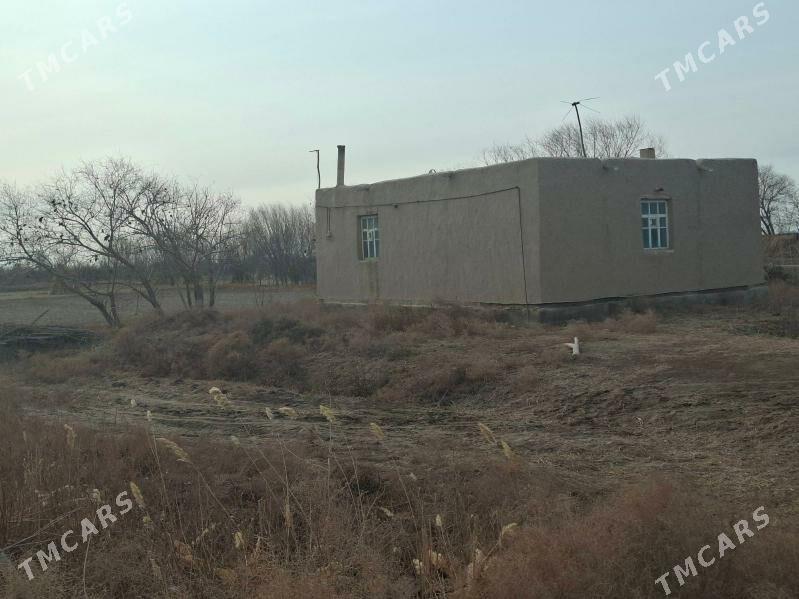 satlyk jay - Köneürgenç - img 1