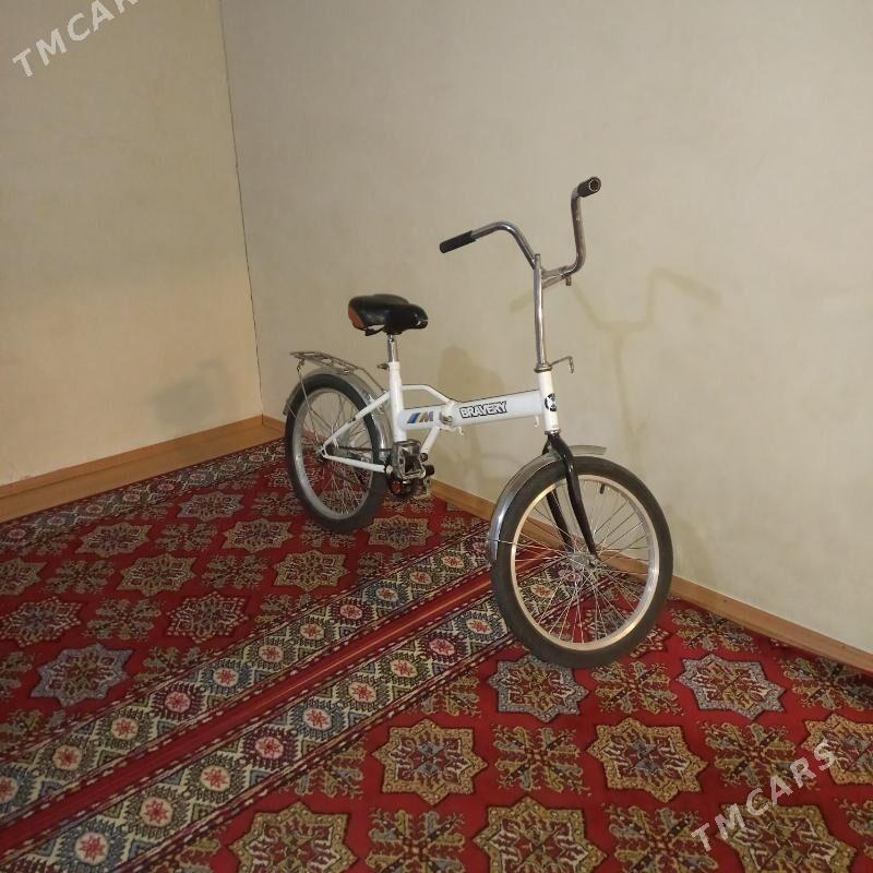 Weswelsepet tigir - Gyzylarbat - img 1