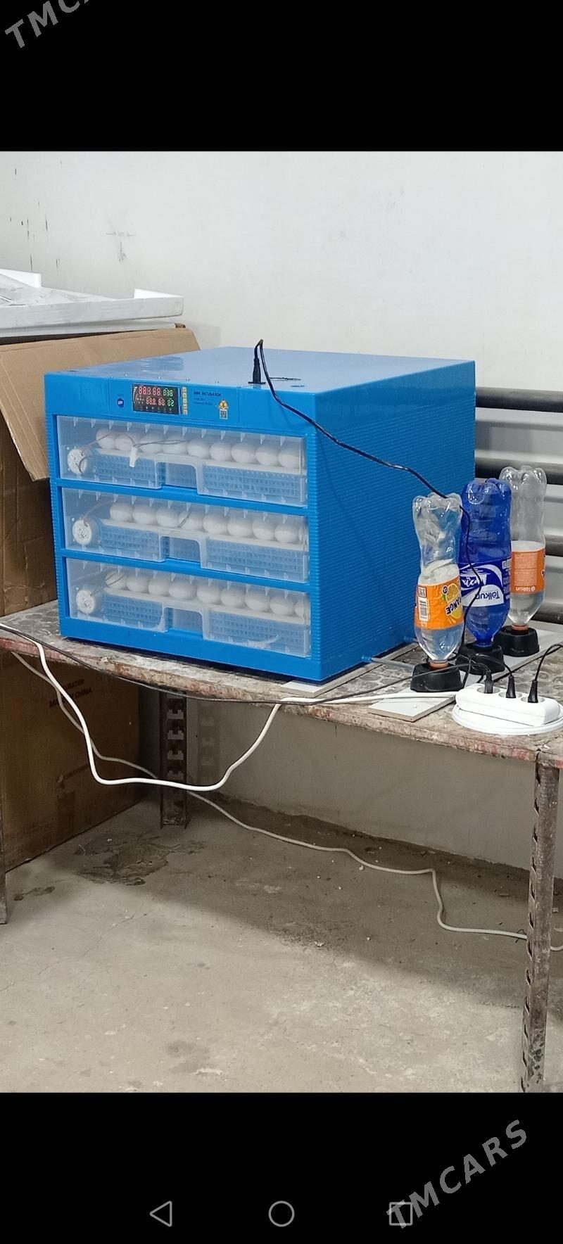 Inkubator - Balkanabat - img 1