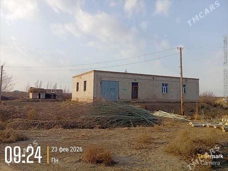 жай - Гурбансолтан Едже - img 1