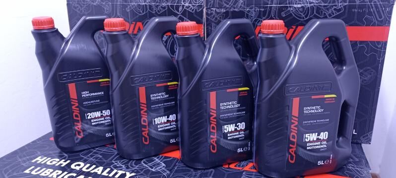 CALDINI 300 TMT - Бедев - img 1