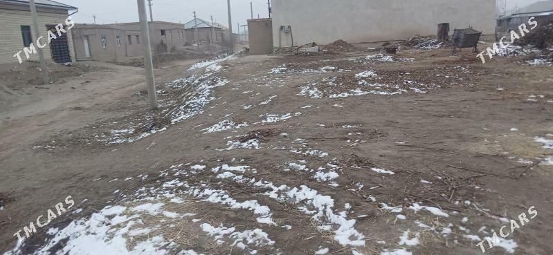 pasilka 16 sotik - Şabat etr. - img 1