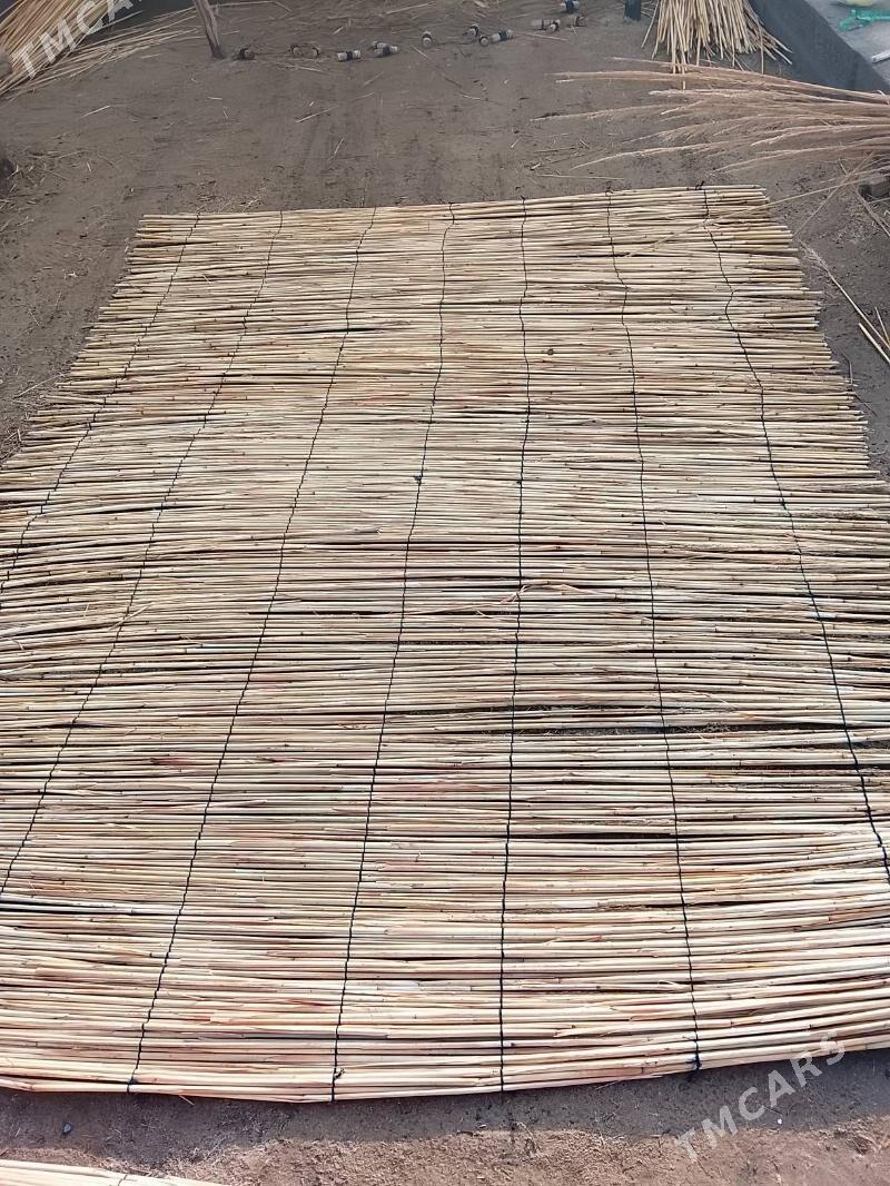 Gamyş - Mary - img 1