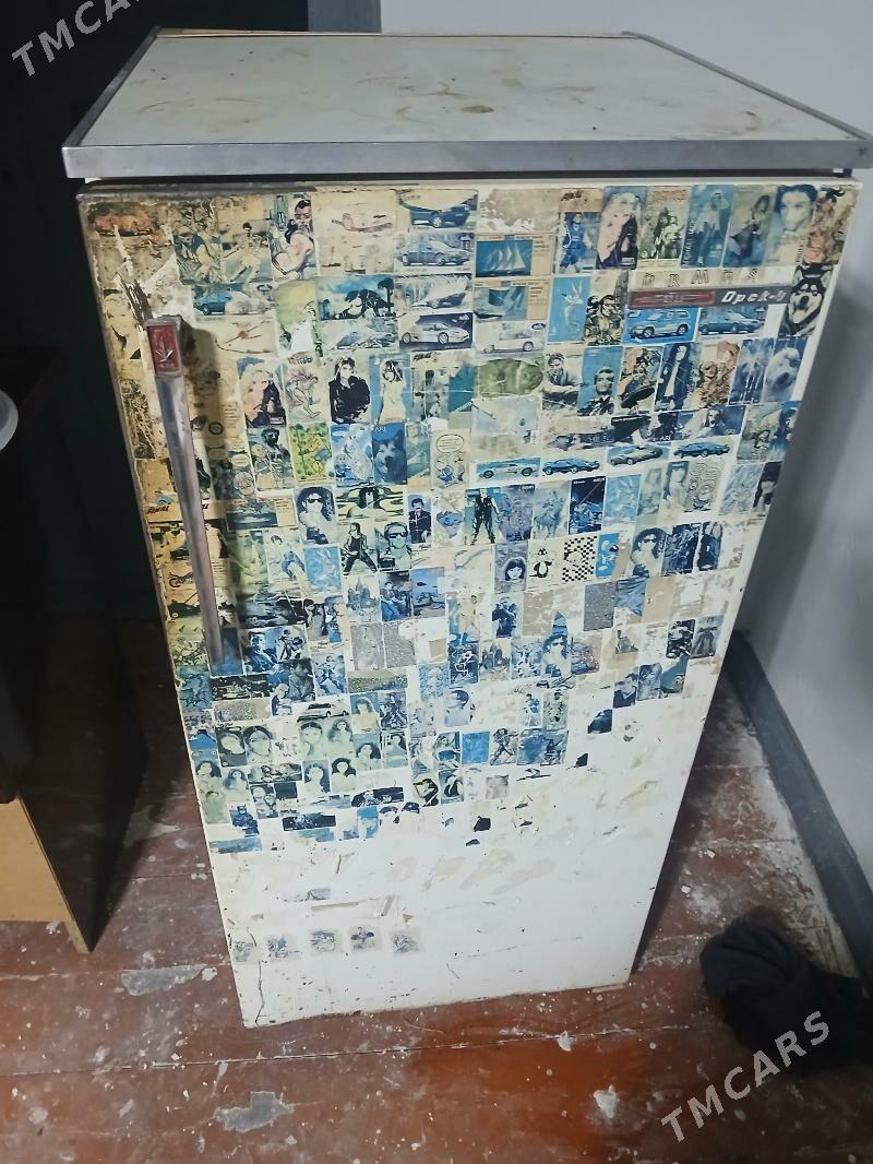 haladynlyk - Gökje - img 1