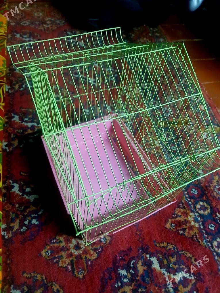 kletka - Дашогуз - img 1