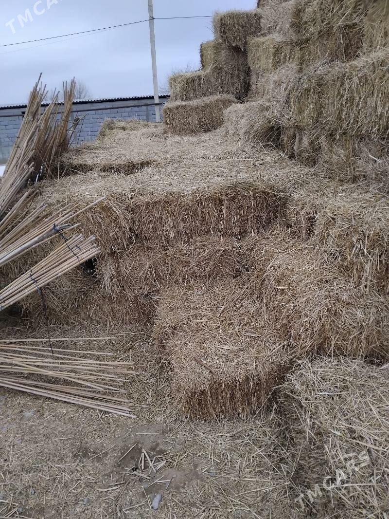 bede - Гёкдепе - img 1