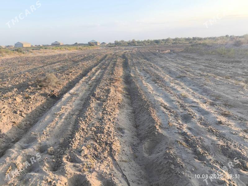 Dayhan gerek - Кёнеургенч - img 1