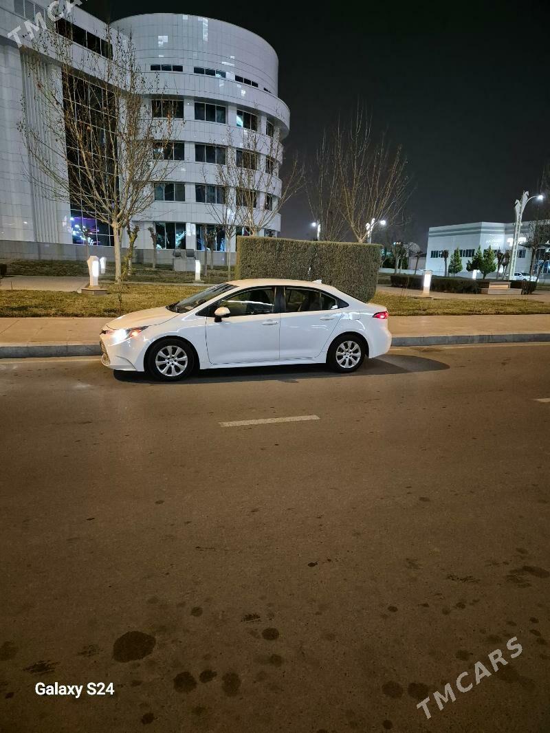 Toyota Corolla 2020 - 246 000 TMT - 16-й этап - img 1