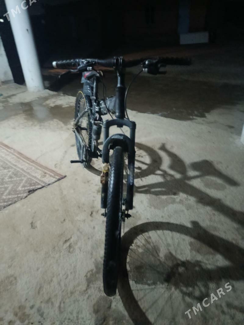 Tigir - Кака - img 1