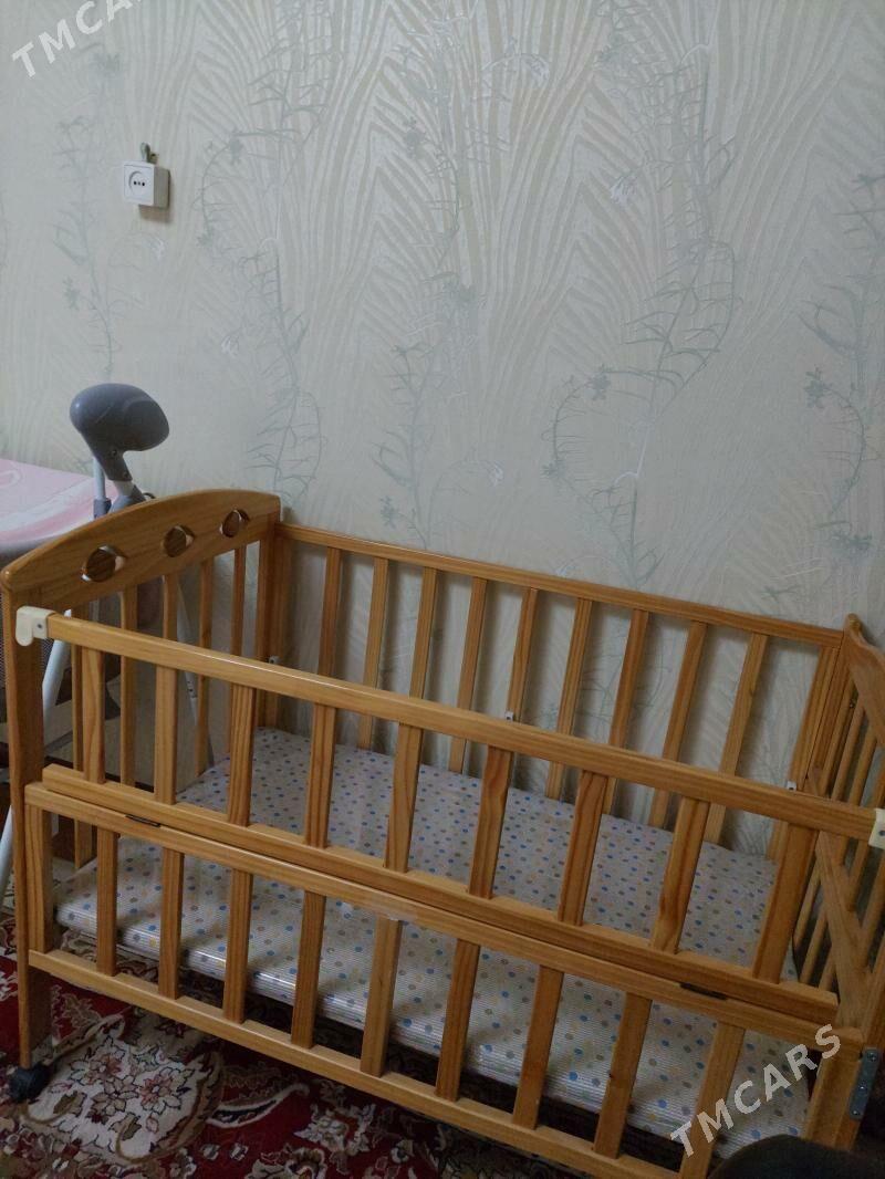 Çaga krowat agaç - Хитровка - img 1