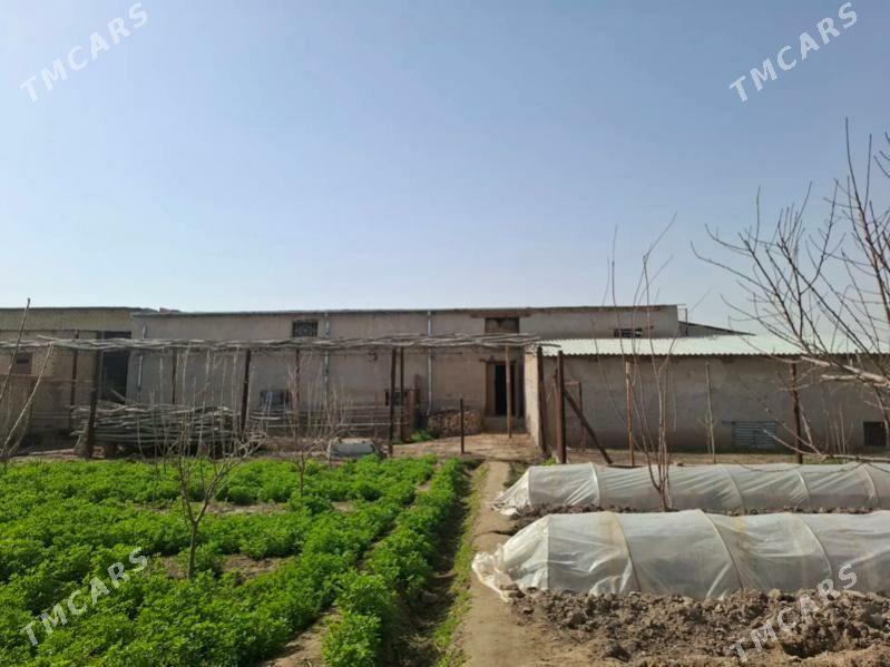 Plan jay 25 sotok - Сейди - img 1