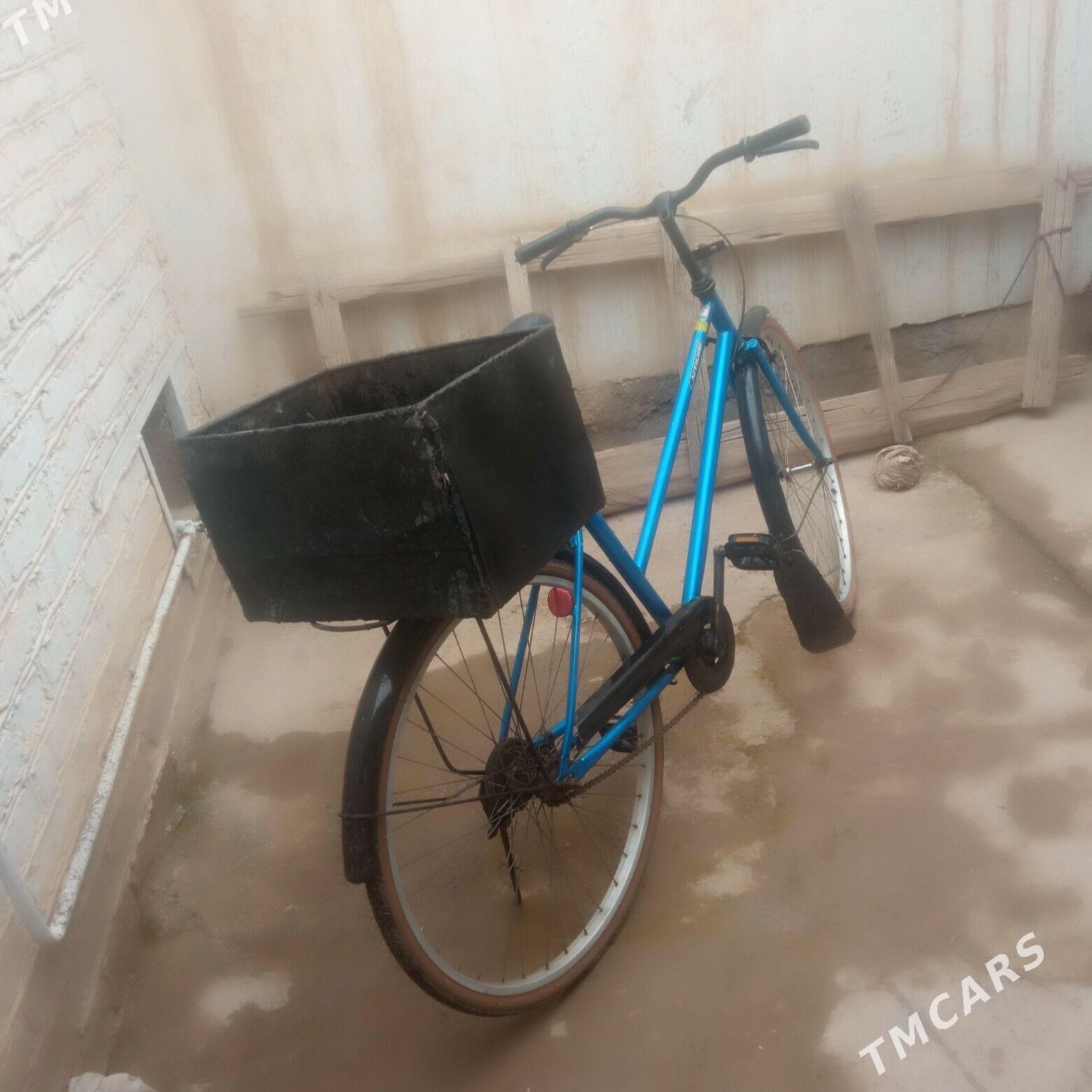 welik - Tejen - img 1