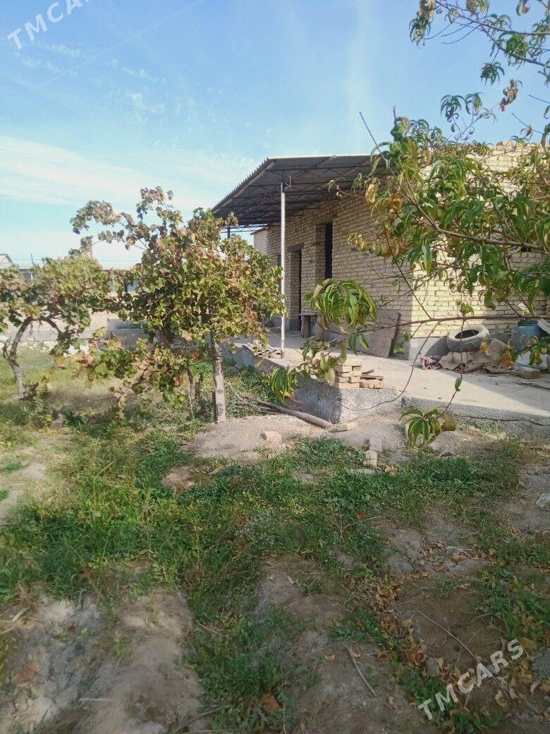 satlyk melek - Дянев - img 1