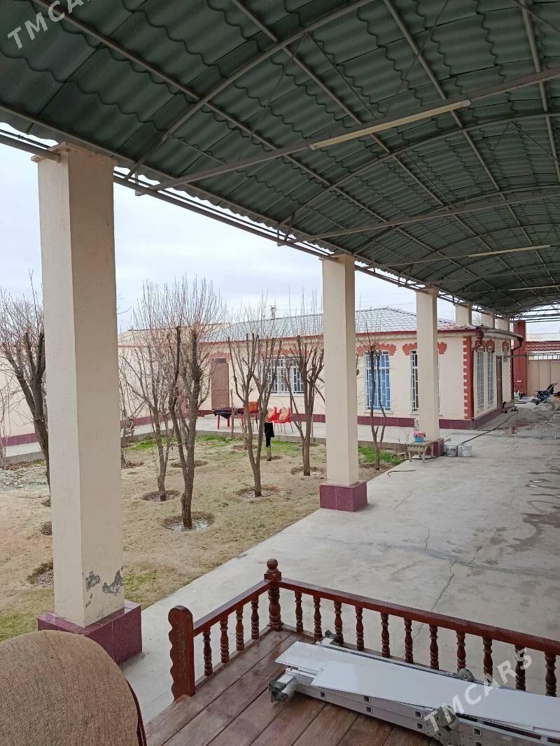 Howly jay Anew - Änew - img 1