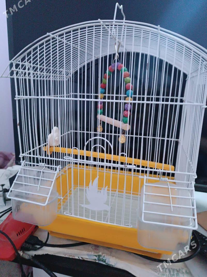 клетка для попугаев - Бузмеин - img 1