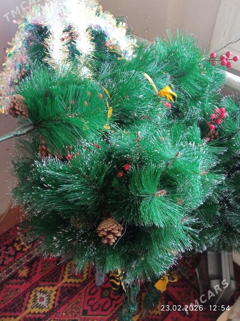 Йолка - Дашогуз - img 1