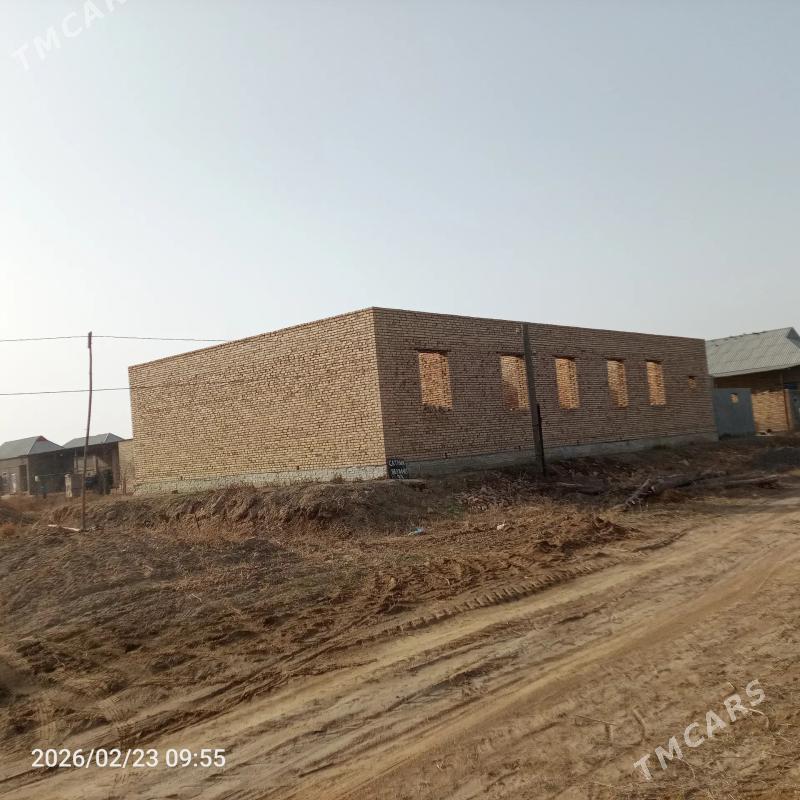 Satlyk jay - Ýolöten - img 1