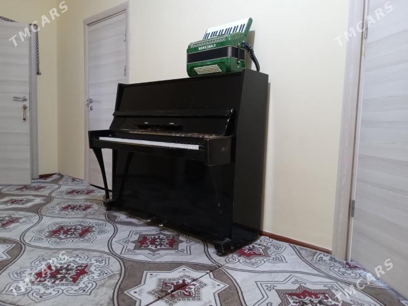 piyonina - Тязе заман - img 1