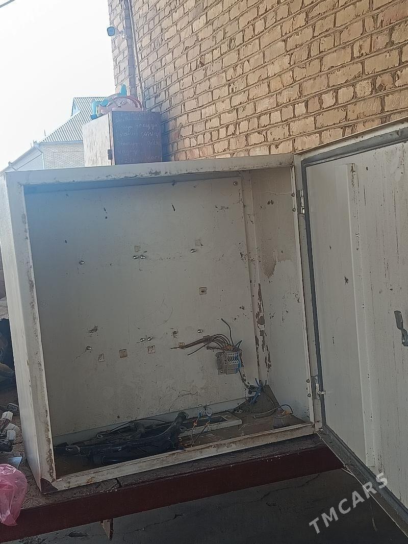 Tok sit uly - Sakarçäge - img 1